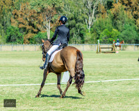 Dressage