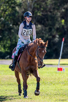 OLS_1162