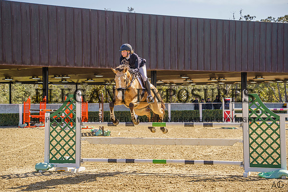 _AJG2016