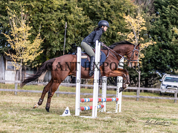 MKG_3288