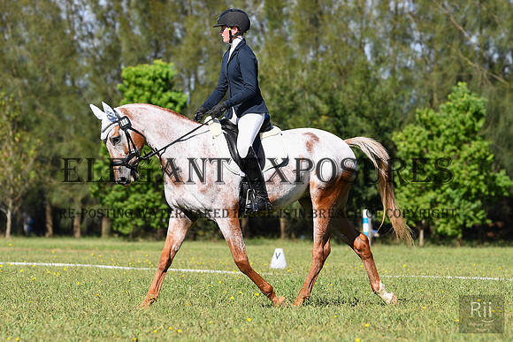 RII_1141