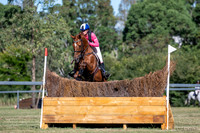 OLS_1183
