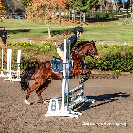 LHL(MS)-6075