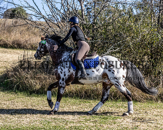 MKG_8371