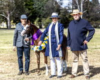 WPCS - Ring 1 - Supreme Welsh Foal - 16.7.2023