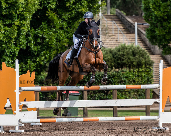 OLS_1390