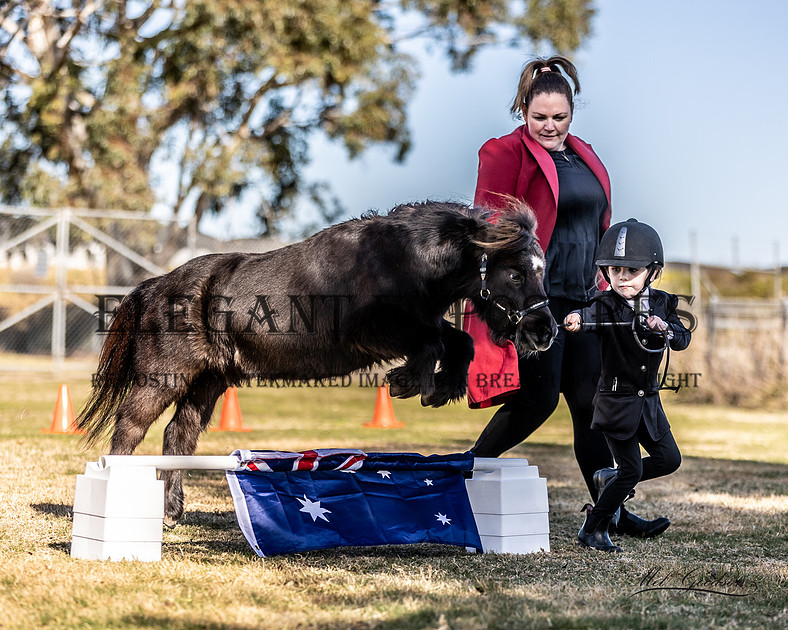 Elegant Exposures | AMHS - Winter One Day Event - Goulburn 2.7.2023
