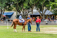 CM_9611