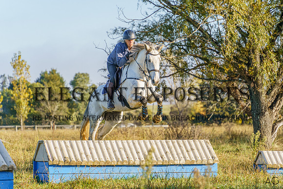 _AJG1274