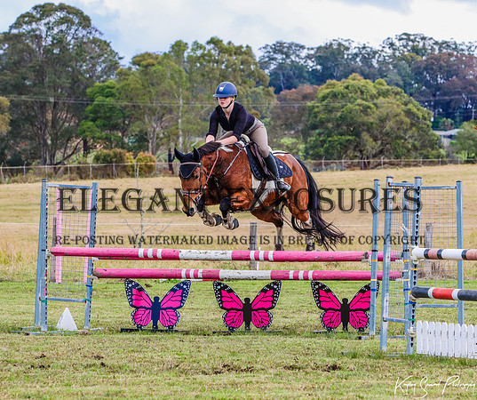 KMS-1537