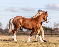 MKG_0183