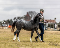 MKG_8304