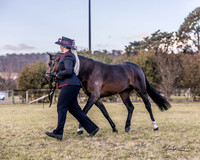 MKG_0285