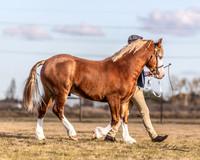 MKG_0184