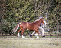 MKG_0209