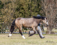 MKG_0299