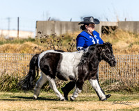 MKG_3545