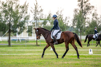 OLS_2336