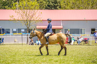 _AJG4687