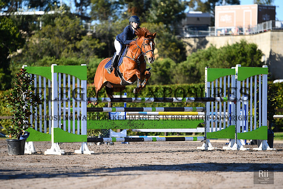 RII_4885