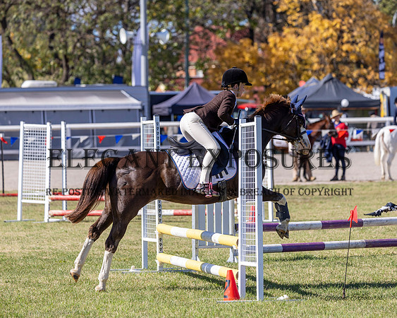 Ma4-6748