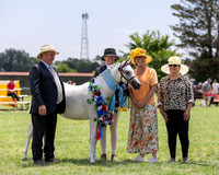 APSB - Goulburn - Ring 2 - 26.01.2025