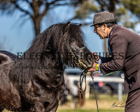 MKG_6085