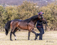 MKG_0289