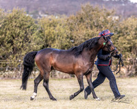 MKG_0288