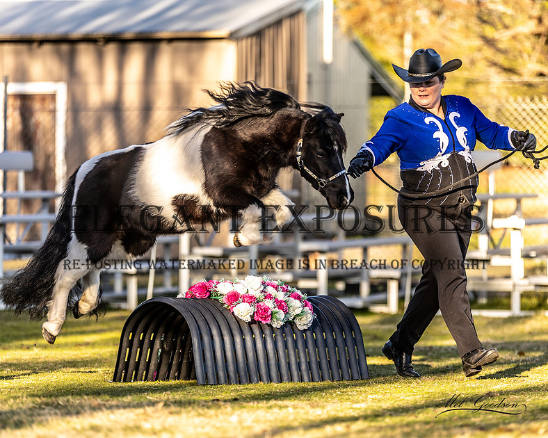 Elegant Exposures | AMHS - Winter One Day Event - Goulburn 2.7.2023
