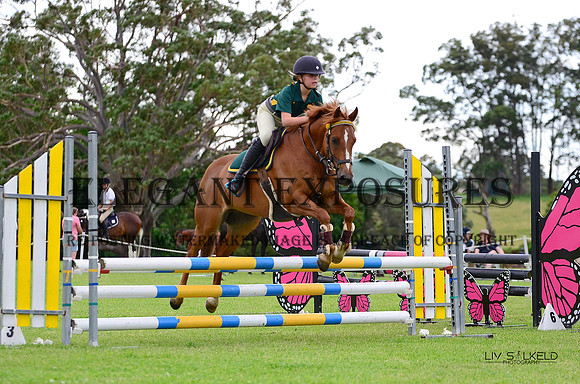 OLS_0632