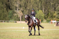 OLS_1310