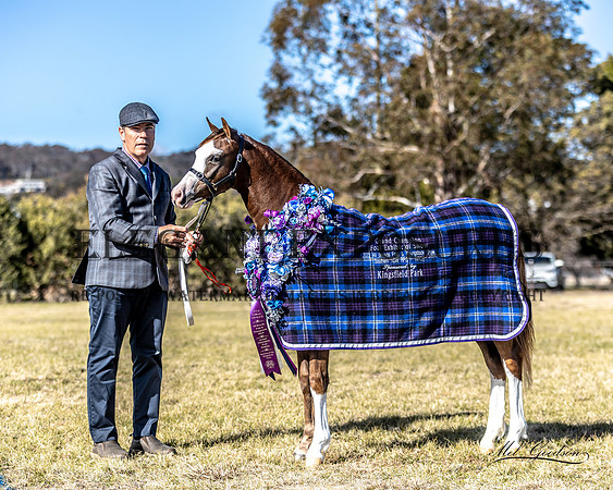 MKG_9331
