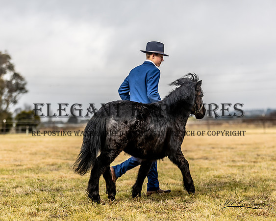 MKG_8087