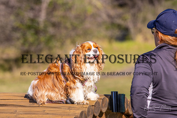 KMS-6