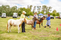 AMHS Southern Summer Outdoor Arenas 18.01.2025