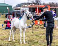 MKG_8202