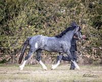 MKG_0188