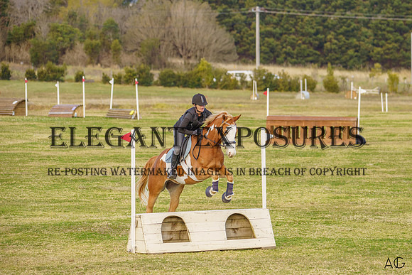 _AJG2187_wm