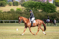 Equestriad - DR - CD10 - 9.11.2024