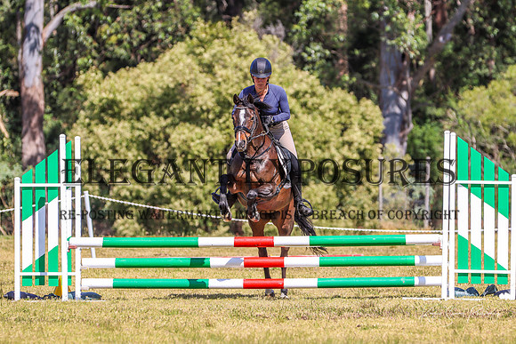 KMS-4030