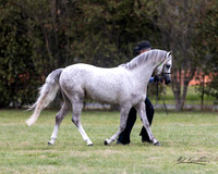 MKG_9679