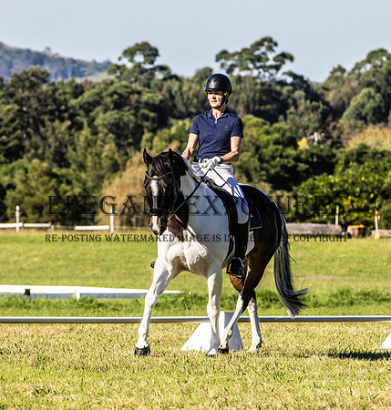KMS-0304