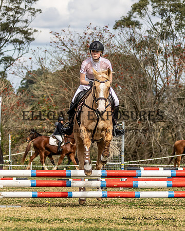 MAS_3933