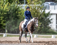 OLS_0190