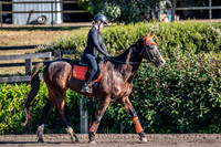 OLS_6044