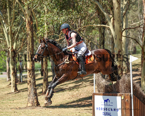 MAS_5453