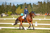OLS_2585