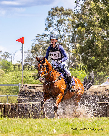 MAS_7313