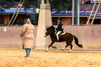CPEC - Show Horse Night - All Arenas - 11.08.2023